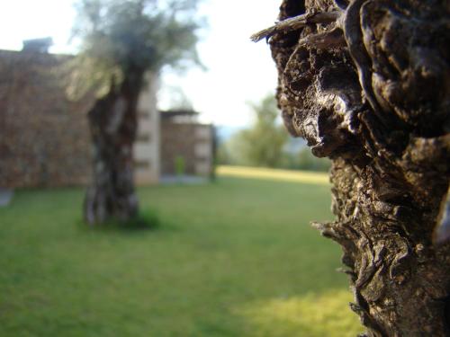 Bosque da Harmonia - image 3