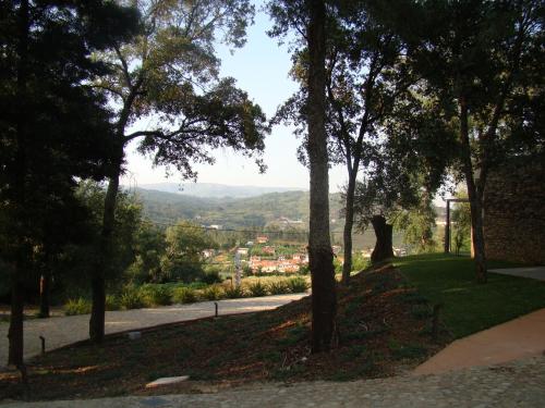 Bosque da Harmonia - image 8