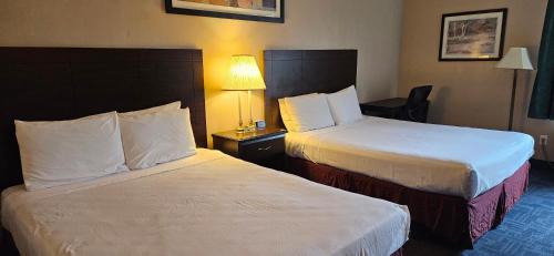 Bellis Inn - image 14