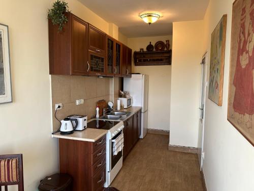 베오그라드 Vintage Delight Apartment Vracar Hram Sv Save 4성급 싱글룸 레스토랑