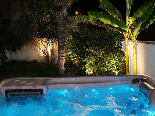 Unique! jacuzzi privé 35°C + cinéma Villa entière gîte à louer Meyzieu