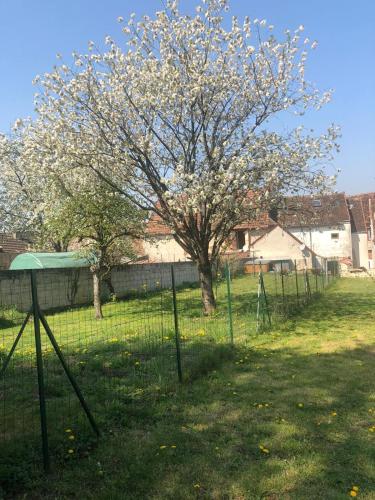 Maison de campagne gîte à louer Saint-Martin-du-Boschet