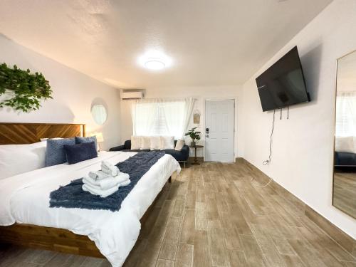 1k Bed Studio Apt With Shared Pool 515 in Clearwater Városközpont