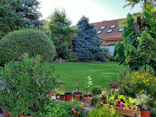 VISUAL Apartmán, Komárno (Foto 6)