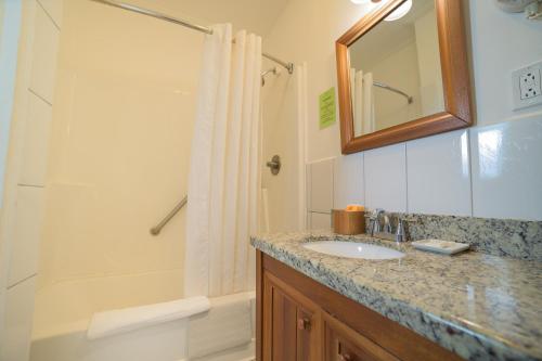 Deluxe Quadruple Room image 1
