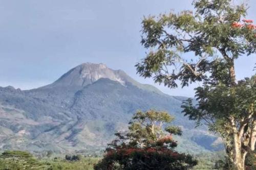 Mt Apo View Creekside Whole house with Pool by Creek Cowboys Cottage