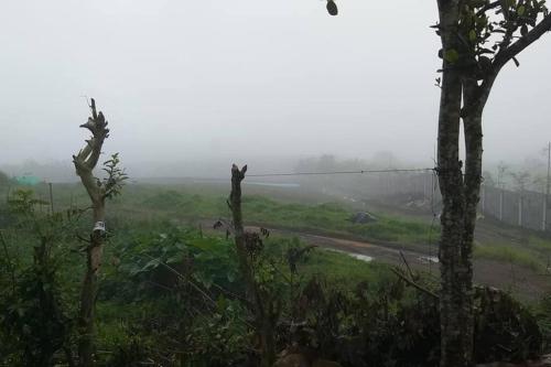 Mt Apo View Creekside Whole house with Pool by Creek Cowboys Cottage