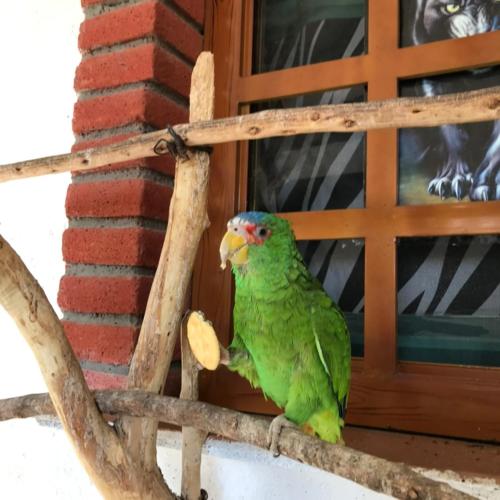 Alojamiento en una tranquila casa rural