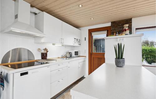 Amazing Home In Hejls With Kitchen