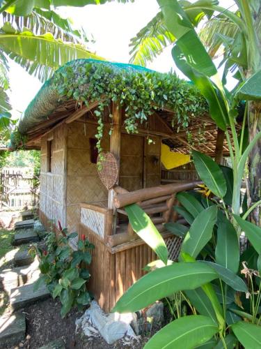 Dupas Luce Love Lodges Room Type - Bungalow with Fan