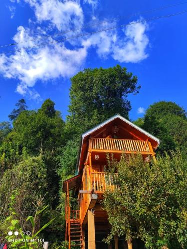 The Tree Top Treehouse Jibhi