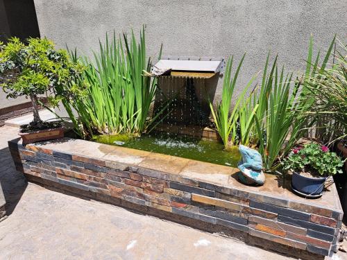 Desert Pearl Self catering & Accommodation in Walvis Bay