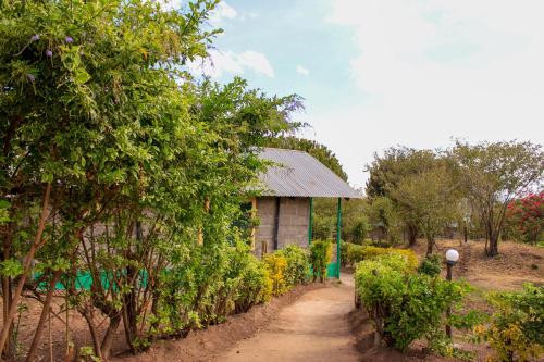 Eco mara forest camp