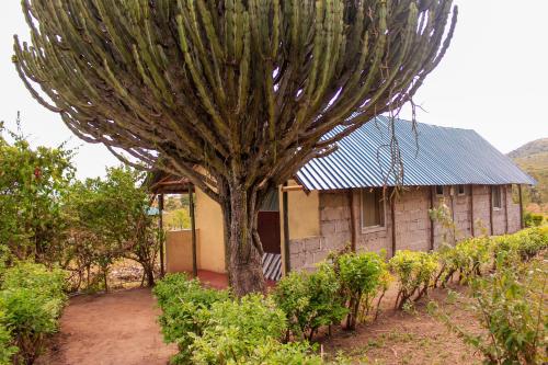 Eco mara forest camp