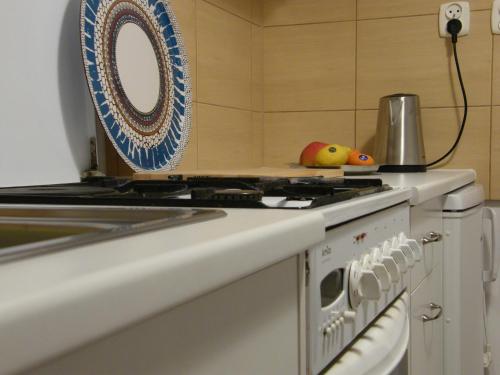 Apartament Jagielloński, Cracovie (photo 10)