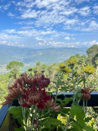 Aussicht, The Norling Homestay in Almora