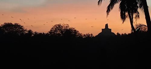 Anuradhapura Kingdom View Resort