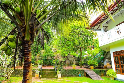 حديقة, Dil's Place in وسط مدينة بيروالا