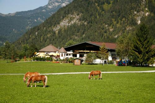 Gut Hanneshof - image 11