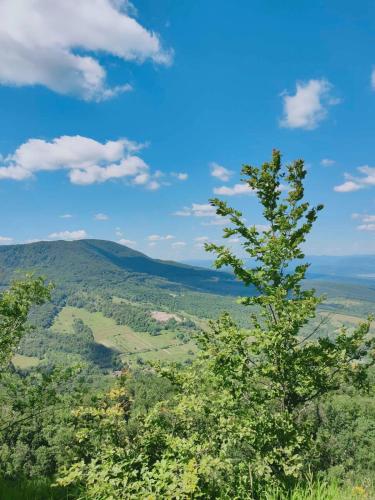 соколів камінь