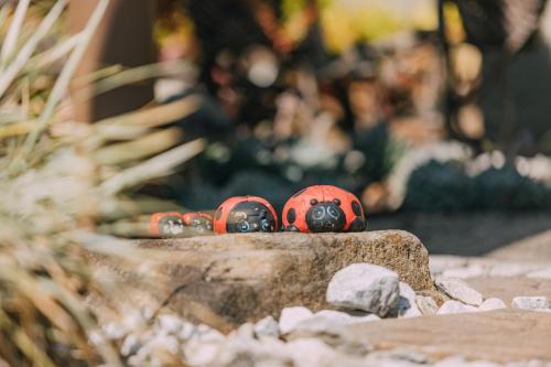 Beetleloop Guest House