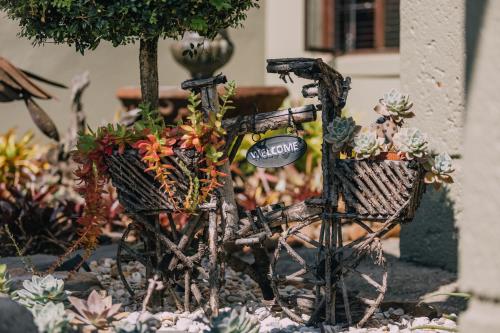 Beetleloop Guest House