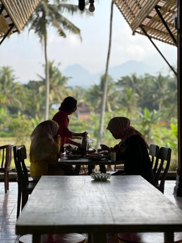 Nyawang Merapi