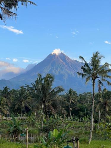 Nyawang Merapi