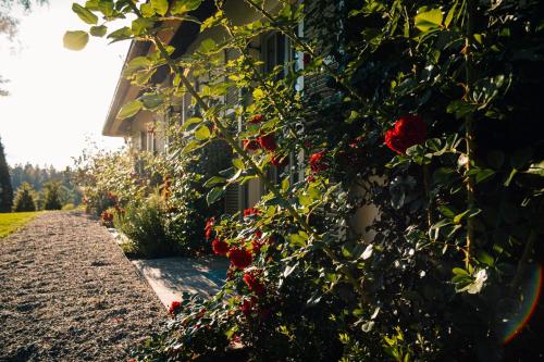 Villa Riedhof in Egling