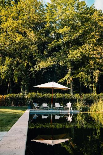 泳池, Villa Riedhof in 埃格陵