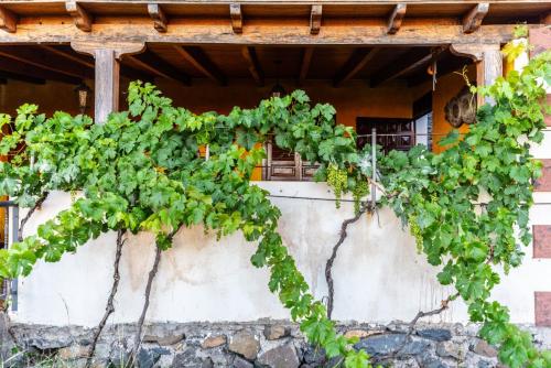 Casa Tajonaje - Entorno rural