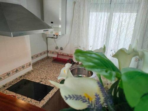 Two-Bedroom Apartment image 5