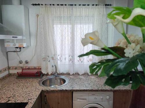 Two-Bedroom Apartment image 4
