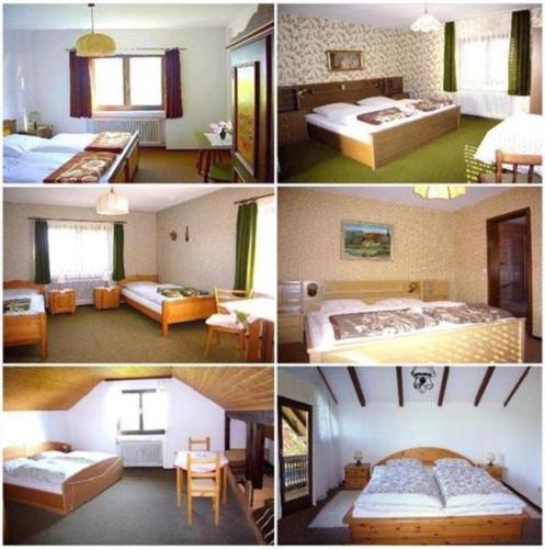 Gasthaus-Pension Zum Brandweiher - image 3