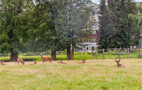 Stunning Home In Oberharz With Wifi