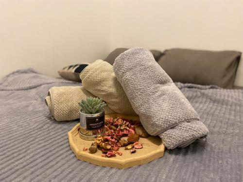 HeyMuji Projector-Netflix-Darts-Near Lotus HeyMuji Projector-Netflix-Darts-Near Lotus