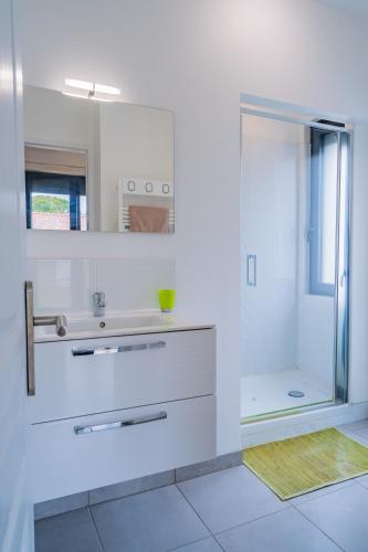 Room In Toulouse - Studio 1 Proche Airbus A Toulouse St Martin Du Touch - Toulouse
