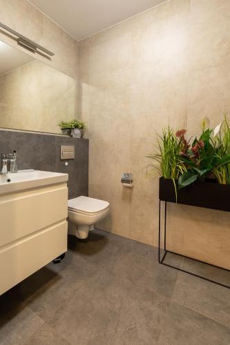 RentPlanet - Apartament Izerska, Szklarska Poręba (foto 8)
