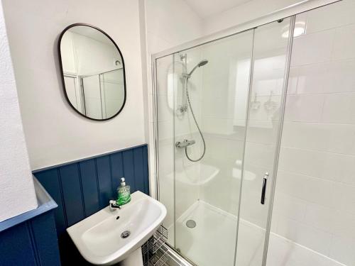 Gillygate Nest - image 2