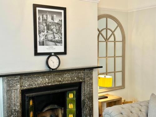 Gillygate Nest - image 11