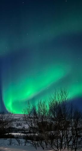 Tromsdalen Aurora Apartments