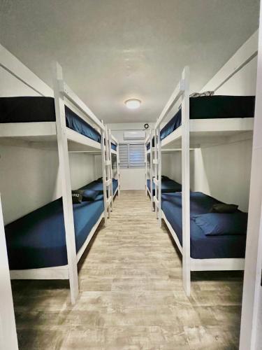 1802 at San Juan - image 6