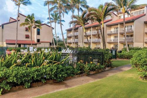 1BR Condo at Oceanfront Resort Kapaa Shore