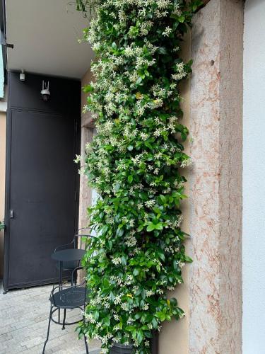 Villa Jasmine 3