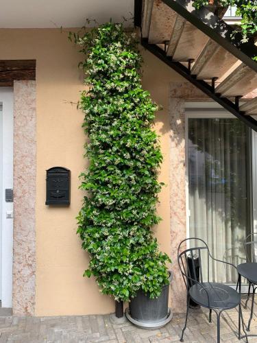 Villa Jasmine 4