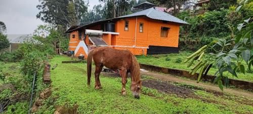 Paradise Cottage Vattavada, Munnar