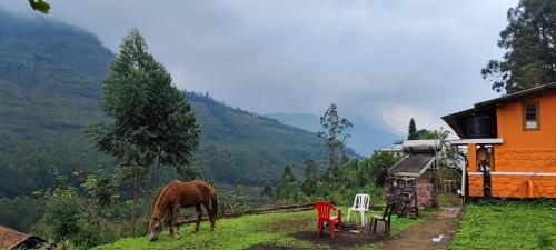 Paradise Cottage Vattavada, Munnar