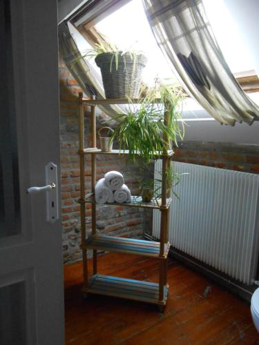 La Mezzanine in Amfroipret