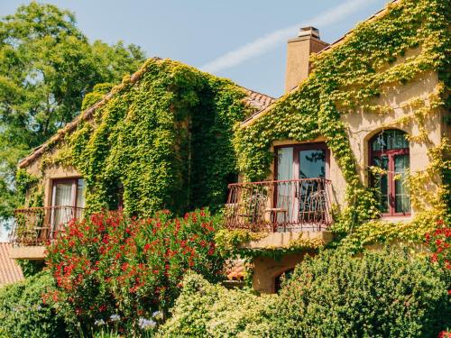 Vinarosa Resort & Spa