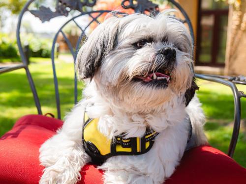 Vinarosa Resort & Spa